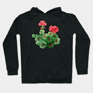 August 11th birthday flower Hoodie